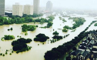 An Update from Texas