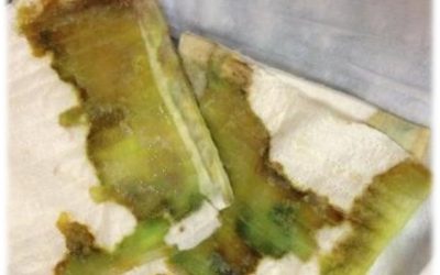 Green Eggs and Ham – and  Antimicrobial Dressings