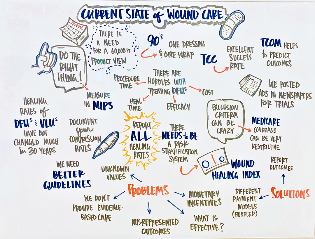 The "Art" of Wound Care Caroline Fife M.D.