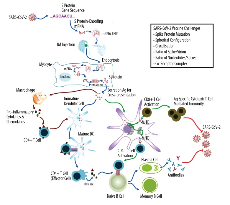 COVID-19 Vaccine