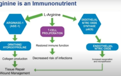 Immunonutrition and Wounds