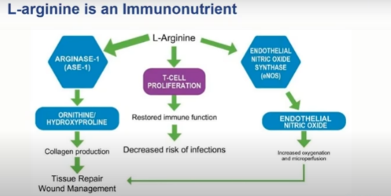 Immunonutrition and Wounds