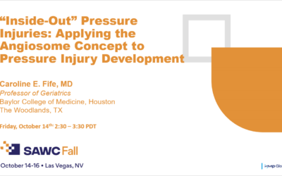 Join Me at the Fall SAWC Where I Will Convince You That Stage 1 Pressure “Injuries” are Ischemia Reperfusion Injuries and DTIs/ Stage 4 are Infarctions of a Named Vessel!