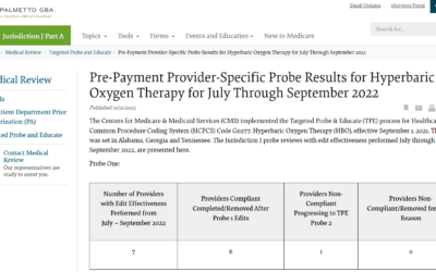 Palmetto Results for Provider Specific Probe: July Through September 2022