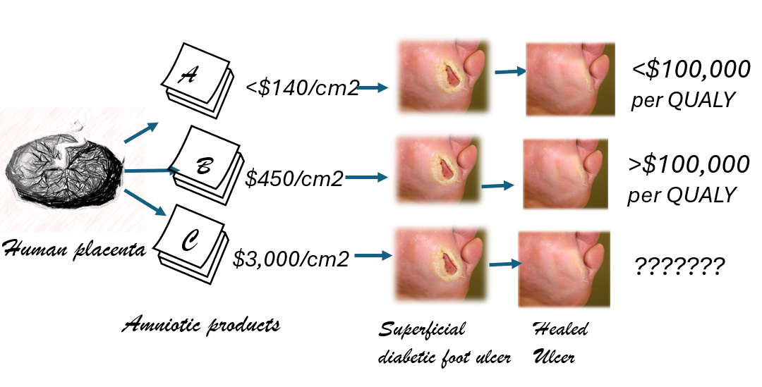 Counting the Cost of Cellular and/or Tissue Based Products (CTPs) in Diabetic Foot Ulcers: Is There a Justifiable Price Limit Per Square cm?