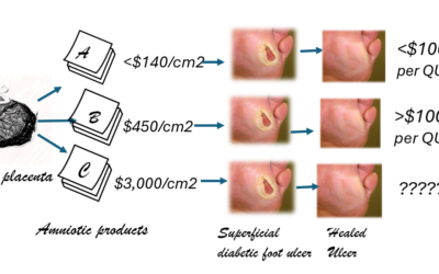 Counting the Cost of Cellular and/or Tissue Based Products (CTPs) in Diabetic Foot Ulcers: Is There a Justifiable Price Limit Per Square cm?