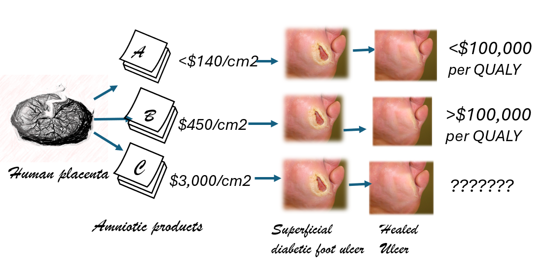 Wound Care Blog Dr. Caroline Fife MD