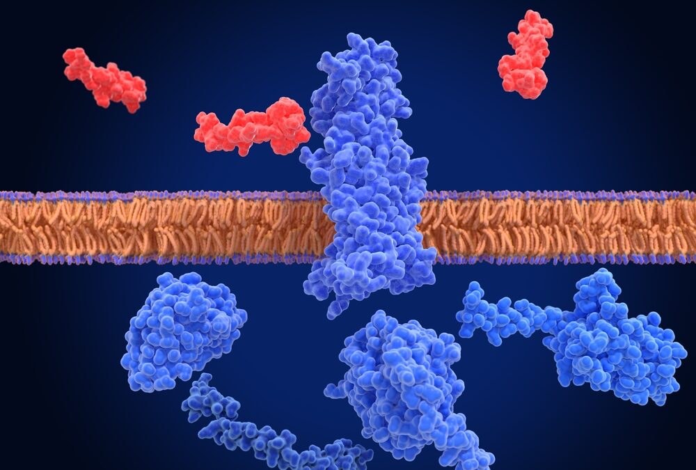 GLP-1 RAs and Peripheral Arterial Disease?