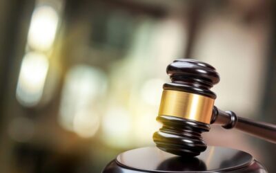 Here Comes the Judge! Part 2 of the Incredible Journey of a Skin Substitute Audit – Guest Blog by Michael Crouch